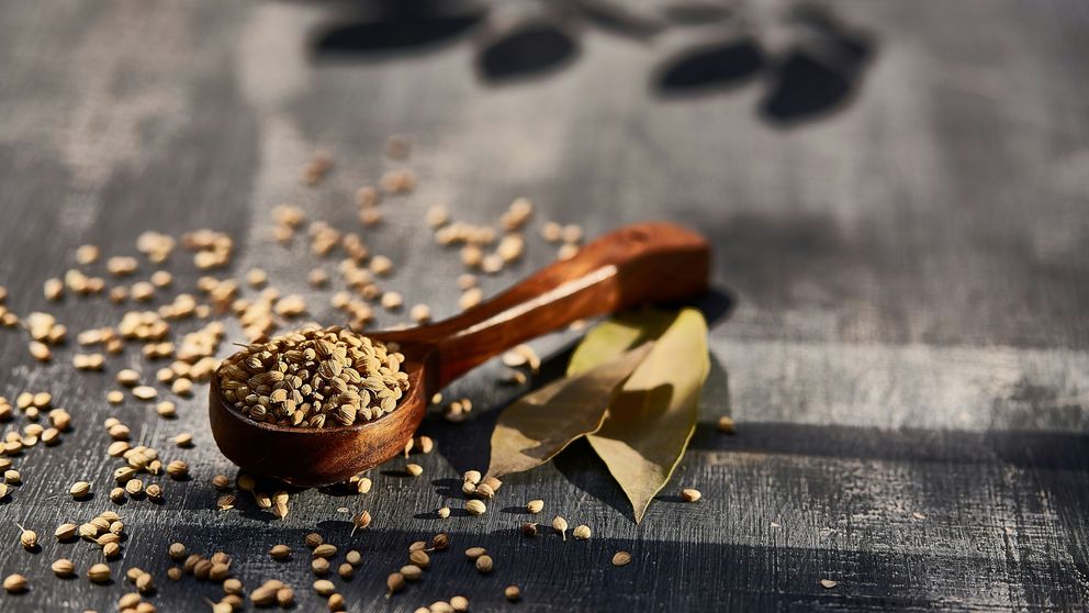 Ist Koriander gesund? 