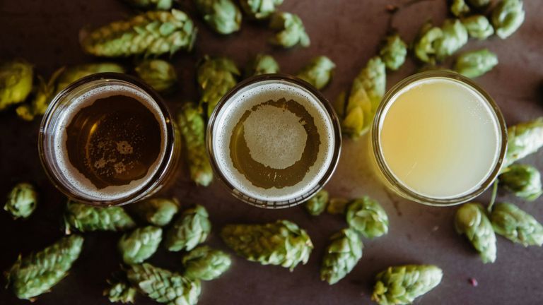Wie wird Bier hergestellt?